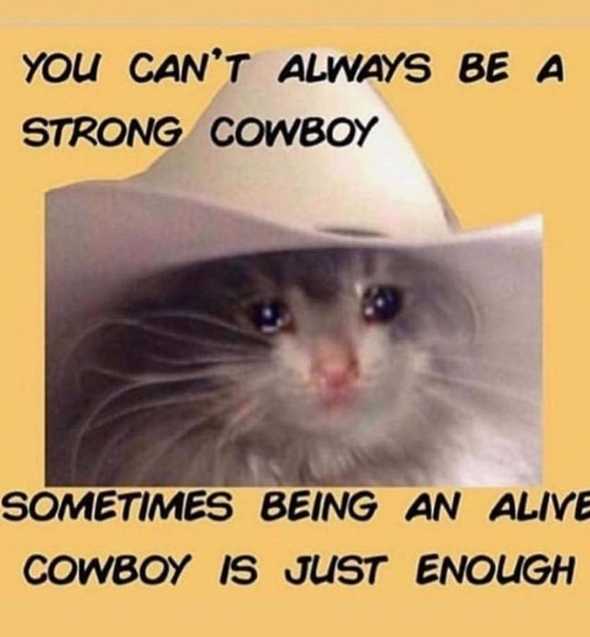 Alive Cowboy