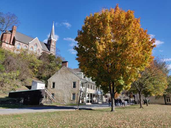 Church and tree